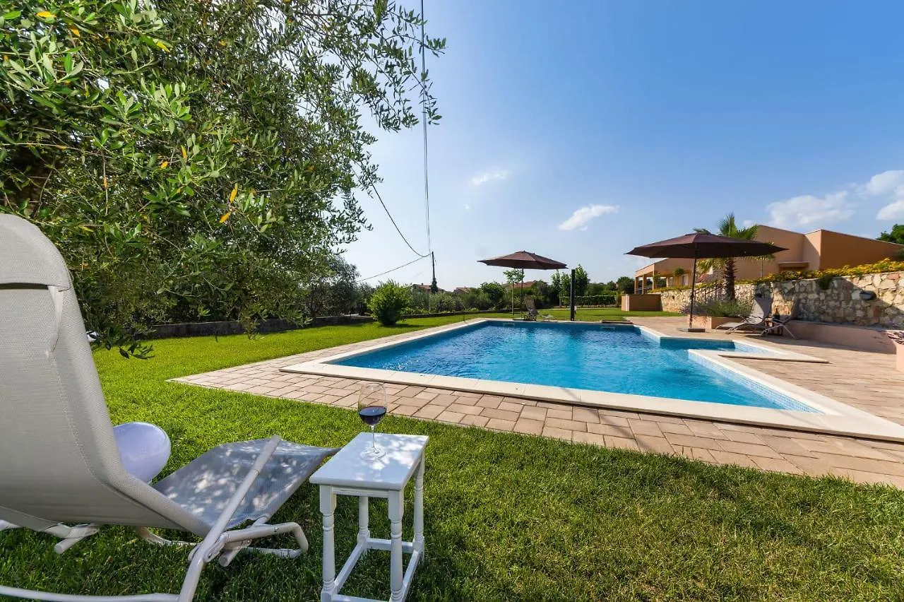 Apartment Alex Zadar