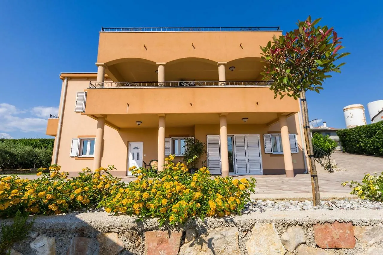 Apartment Alex Zadar